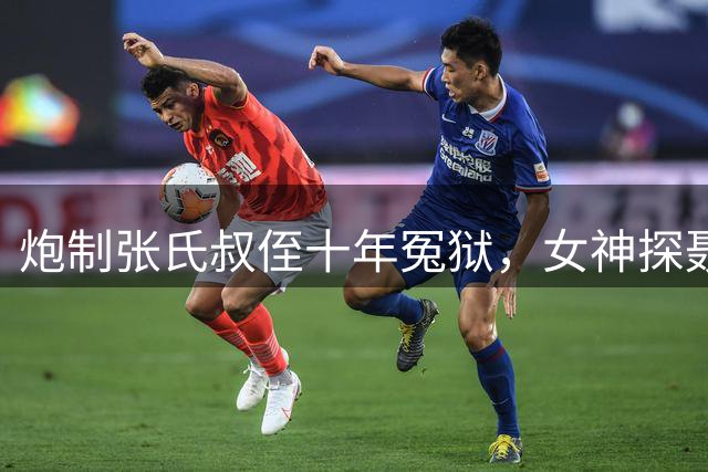 炮制张氏叔侄十年冤狱，女神探聂海芬，民众为何强烈要求从严追责